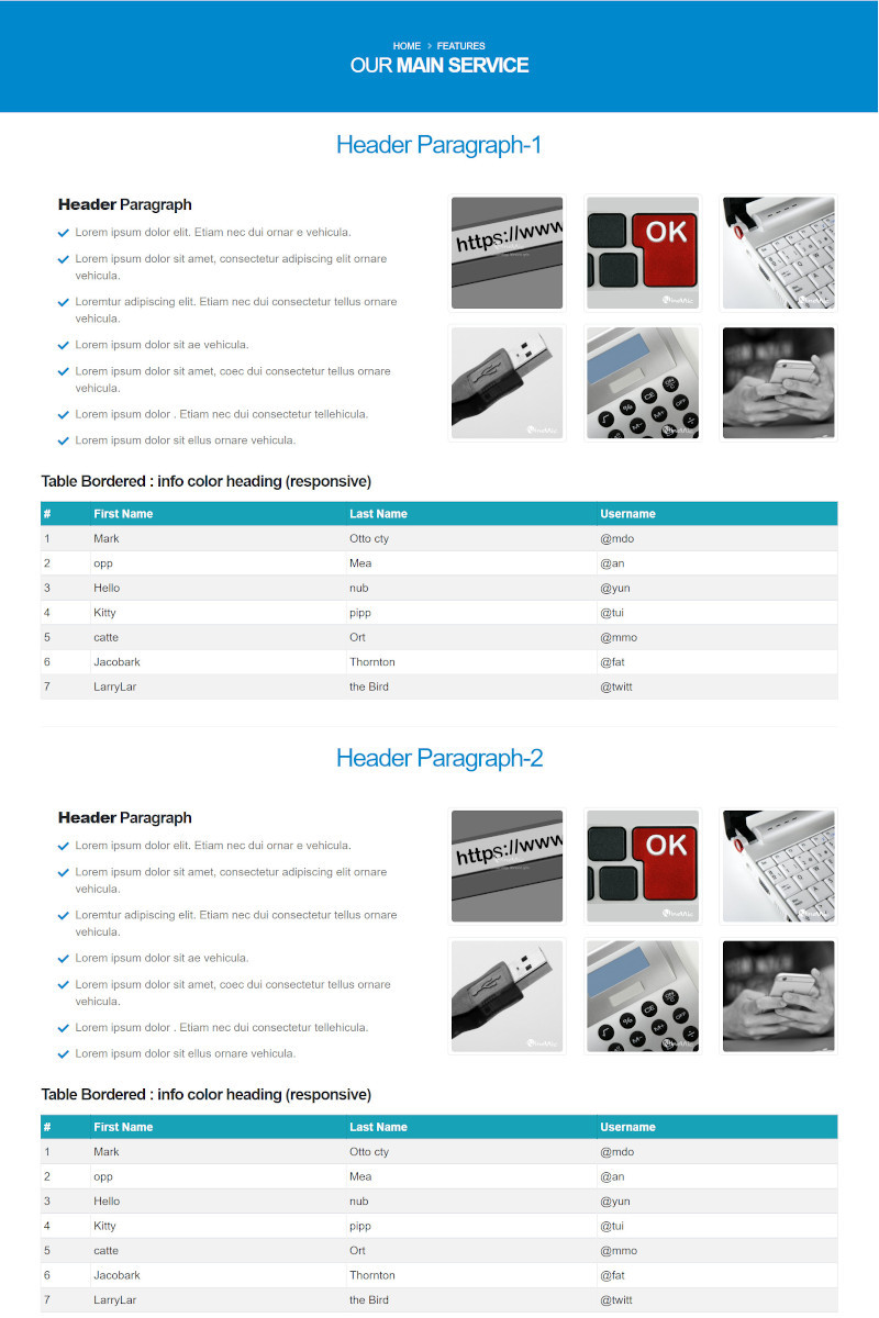 Layouts สำเร็จรูป- เพจ service แนะนำเว็บไซต์สำเร็จรูป NineNIC