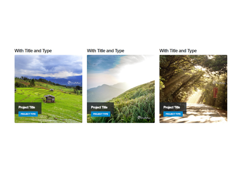 Shortcodes image frames - hover bottom info with title and type 3 images แนะนำ เว็บไซต์สำเร็จรูป NineNIC แนะนำ เว็บไซต์สำเร็จรูป NineNIC