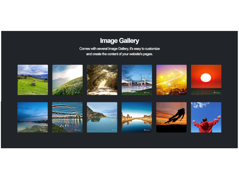 Shortcodes Image Gallery - bg color dark 12 images 6 column แนะนำ เว็บไซต์สำเร็จรูป NineNIC